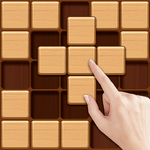 Wood Block Sudoku Game -Classic Free Brain Puzzle