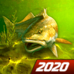 My Fishing World - Realistic fishing