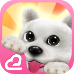 Hi! Puppies♪