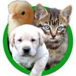 Animal Sounds - Baby Animals