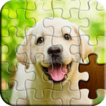Jigsaw Puzzle