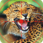 Wild Animal Hunting Game : Sniper Mission