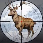 Deer Hunting