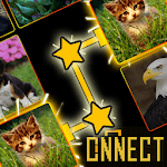 Onnect - Pair Matching Puzzle