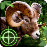 Wild Hunter 3D