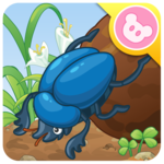 Dung Beetle - Insect World
