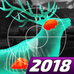 Wild Hunt:Sport Hunting Games. Hunter & Shooter 3D