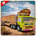 Pak Truck Driver