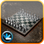 World Chess Championship