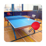 Table Tennis Touch