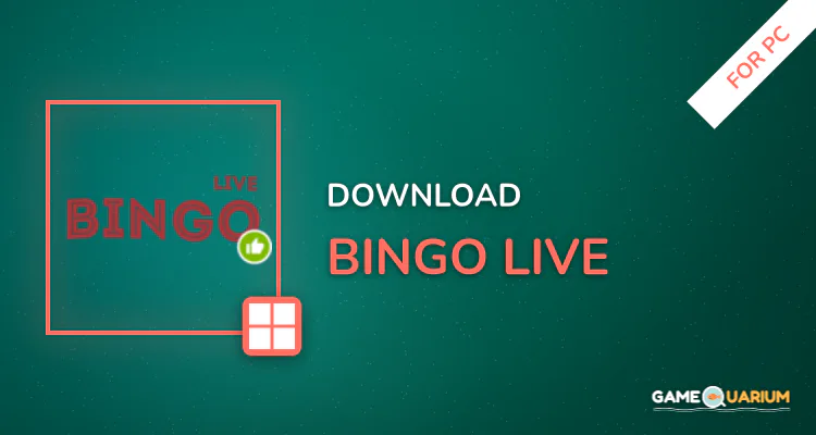 Bingo live for PC