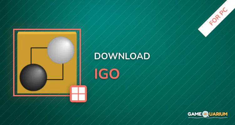 igo for PC
