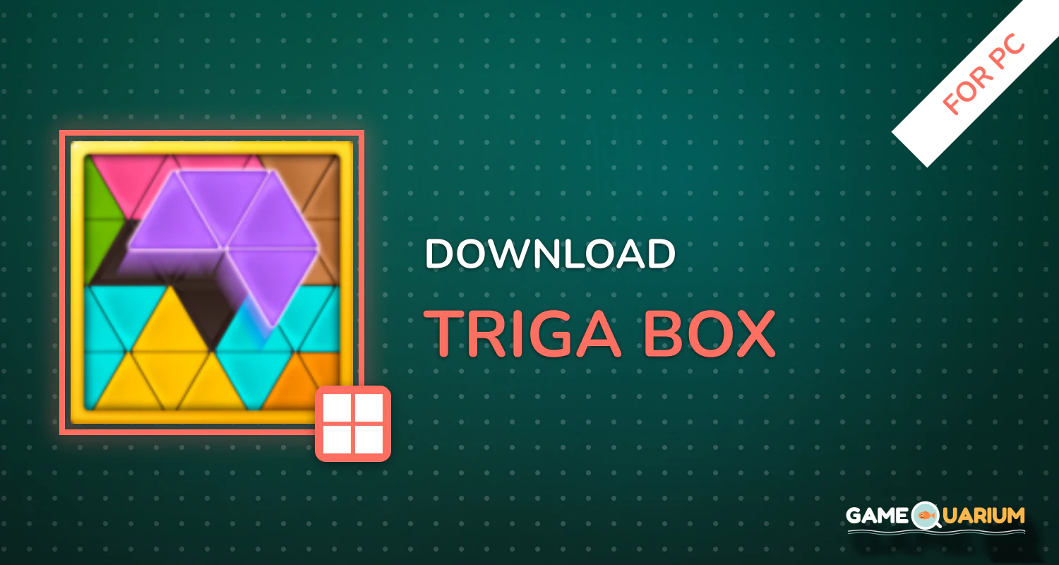 Triga Box for PC