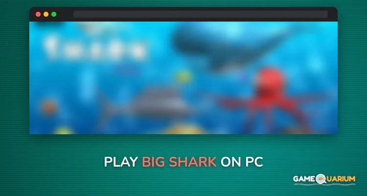Big Shark on Windows Big Shark on Windows