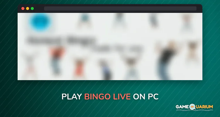 Bingo live on Windows