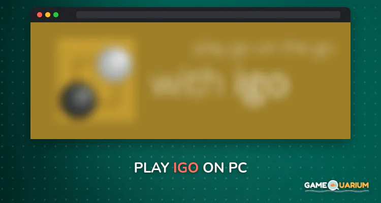 igo on Windows