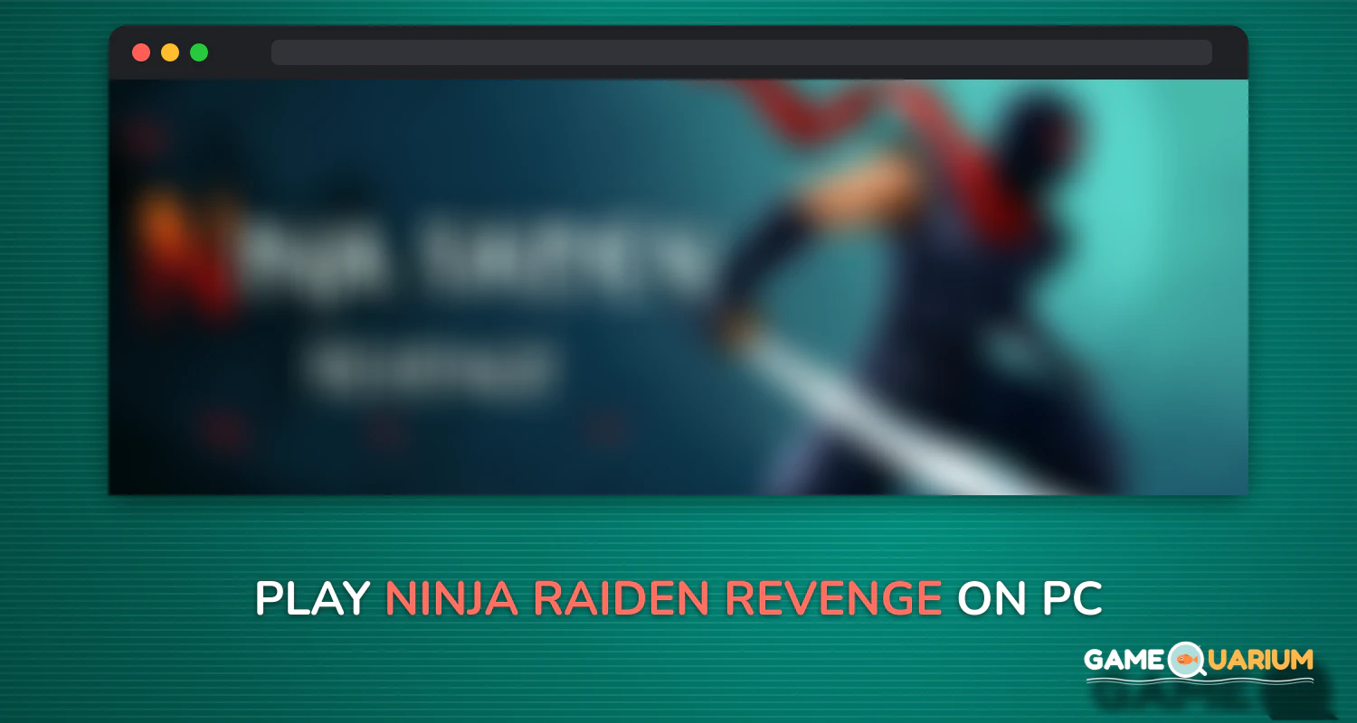 Ninja Raiden Revenge on Windows Ninja Raiden Revenge on Windows
