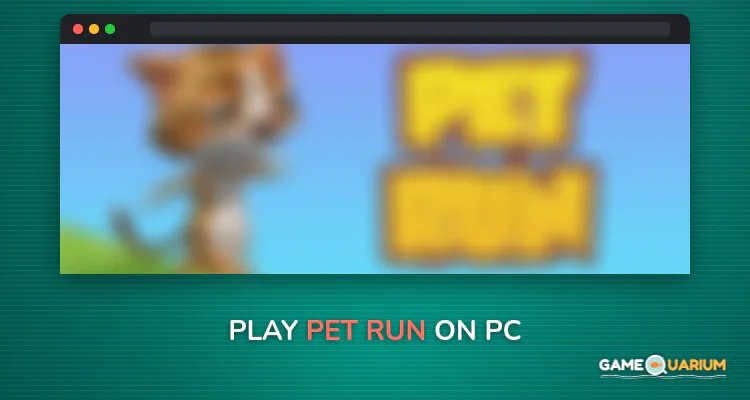 Pet Run on Windows Pet Run on Windows