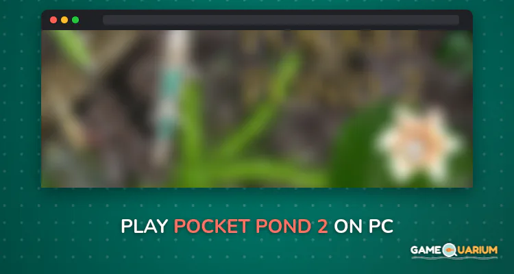 Pocket Pond 2 on Windows Pocket Pond 2 on Windows