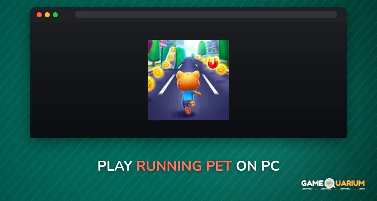 Running Pet on Windows Running Pet on Windows