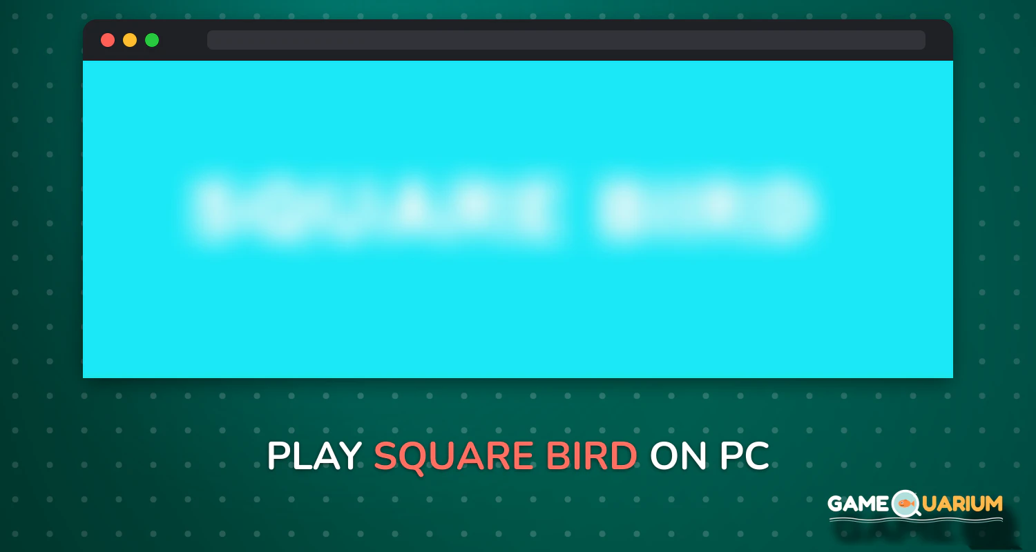 Square Bird on Windows Square Bird on Windows
