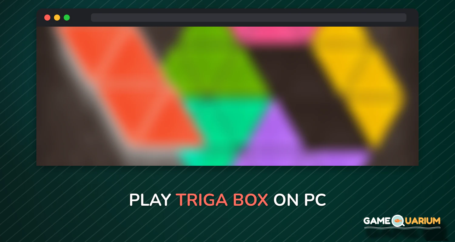 Triga Box on Windows
